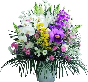 洋花　20000.jpg